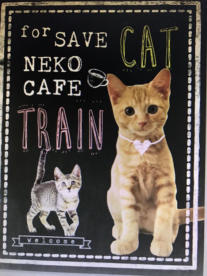 猫の殺処分ゼロを目指して　世界初の「ねこカフェ列車」運行！