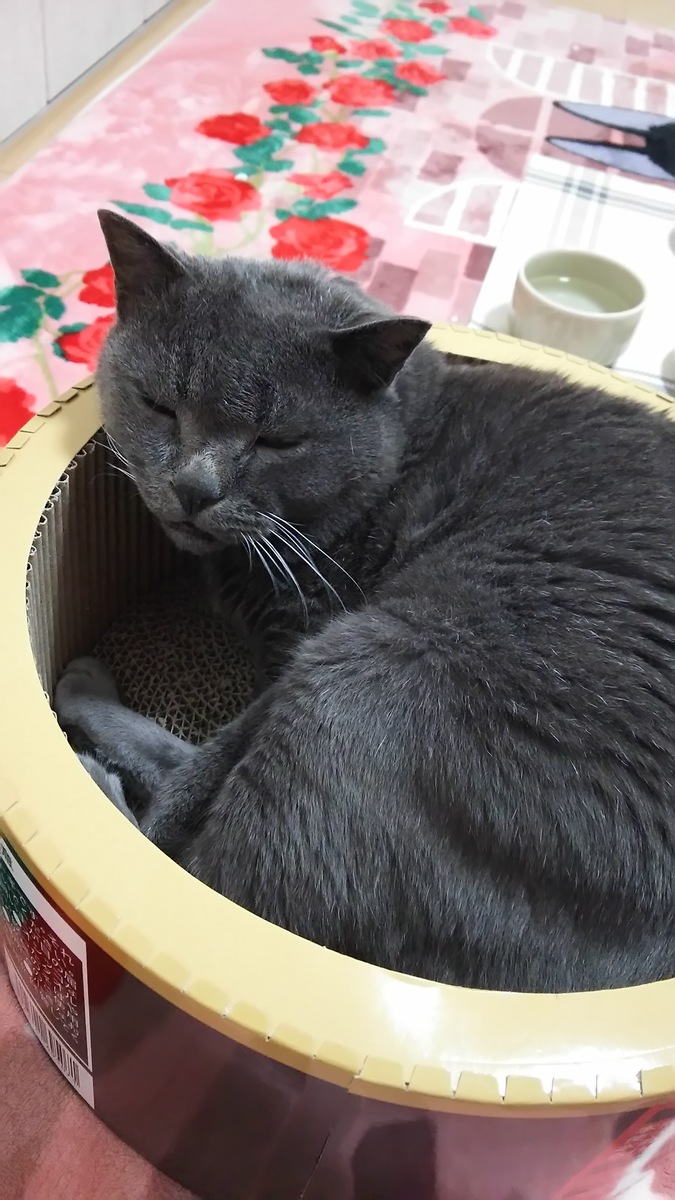 段ボール製の猫ベッド「アスクの黒缶爪とぎ」の使い方