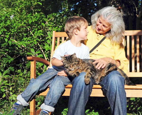 猫の最高齢は何歳？うちの子にも出来る５つの健康対策