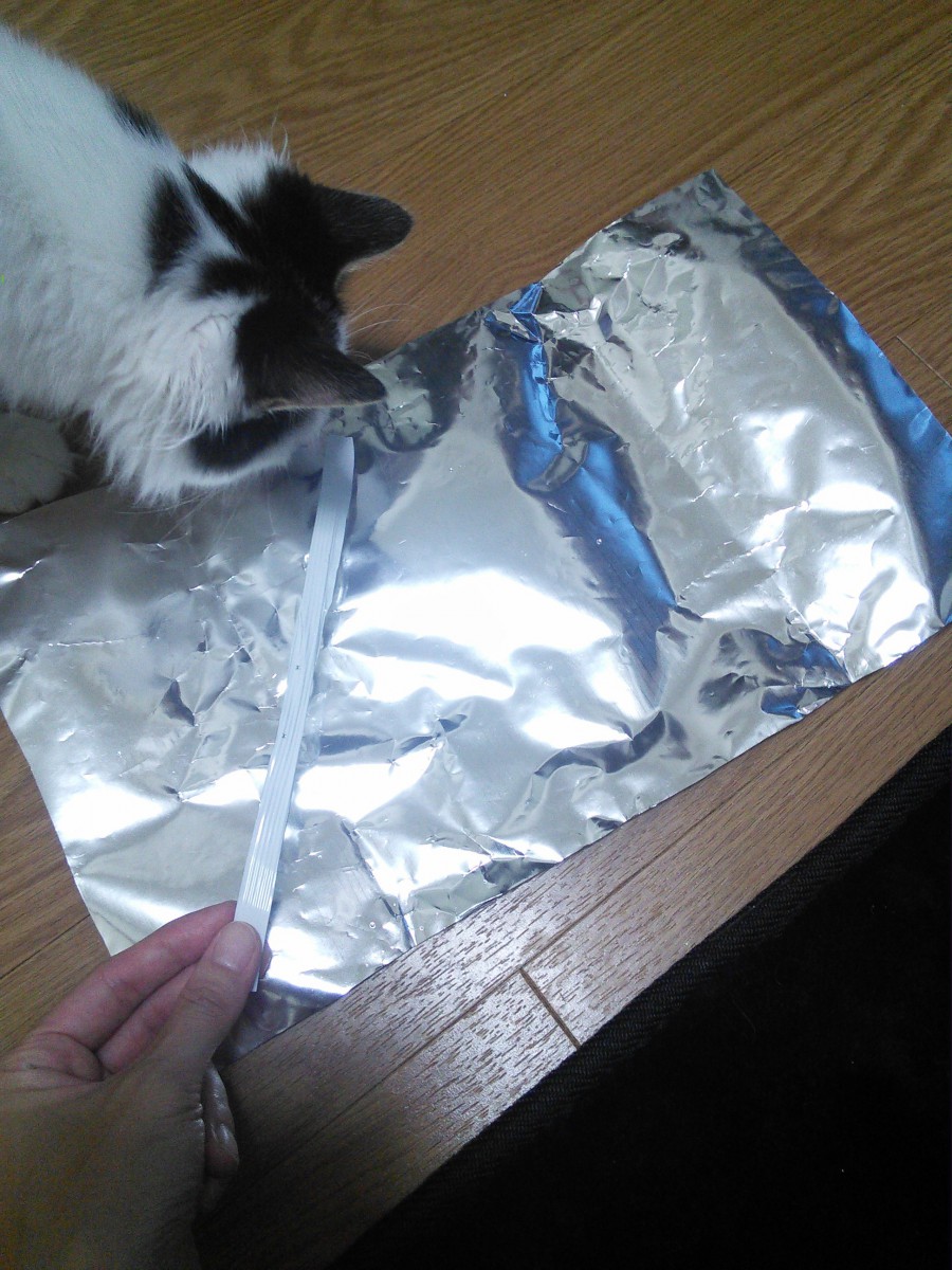ぶきっちょさんでもOK！スナック菓子の袋で簡単に手作りできる猫じゃらし♪
