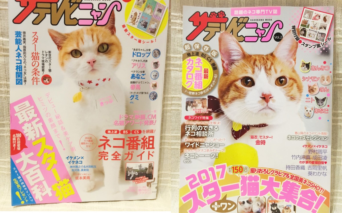 「ザテレビニャン」猫専門のTV情報誌は1冊まるまるネコまみれ！