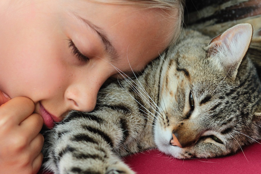 猫は一緒に寝る人を選んでいる？人のそばで寝る理由、一緒に寝る方法と注意点