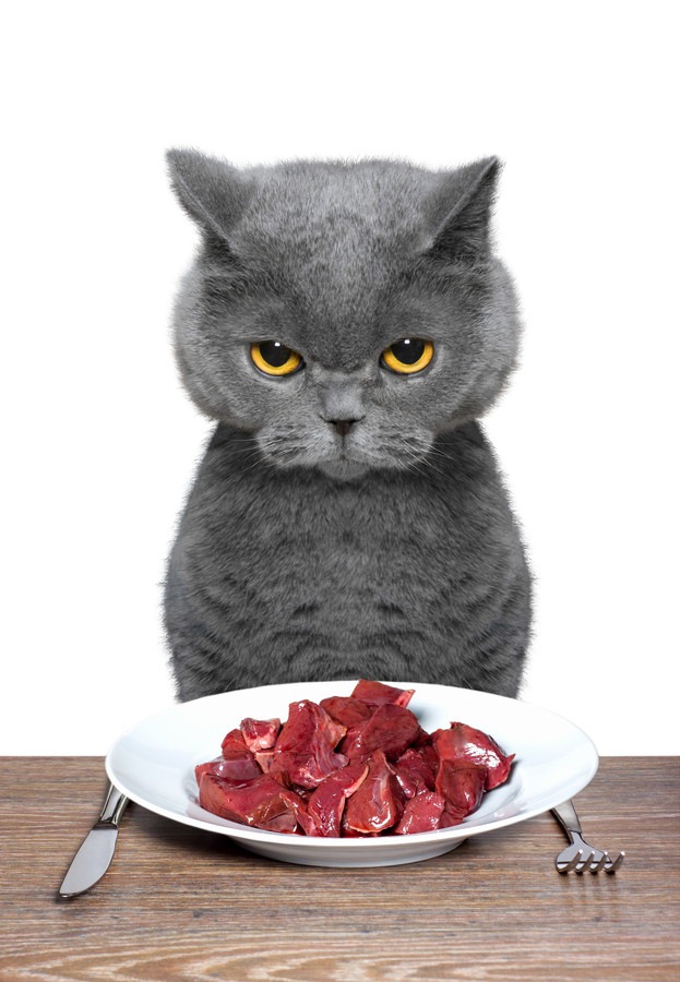 猫にレバーを食べさせても大丈夫？効果と与える時の注意点