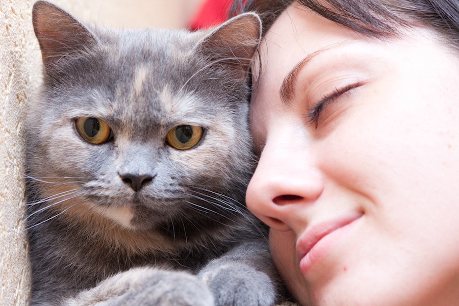 猫のカビは人にもうつる！皮膚糸状菌症の症状や治療法、予防する方法まで