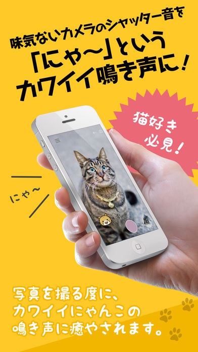 猫の鳴き声アプリのおすすめ4選
