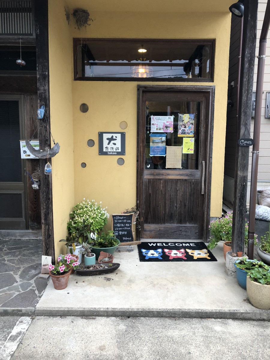 〜京都の田舎でまったり〜 保護ねこカフェtakao