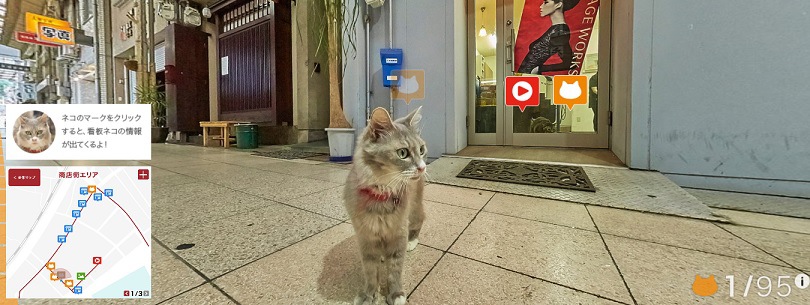 猫目線の地図!?「Cat Street View（キャットストリートビュー）」が凄い！