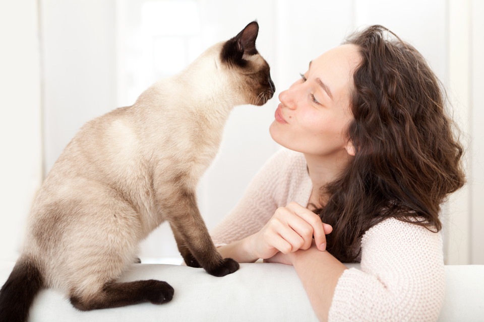 猫の匂いはどんな匂い？体の部位による違いとは