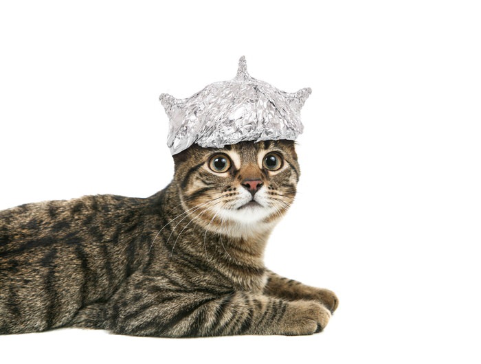 猫用帽子手作りする方法やおすすめ商品