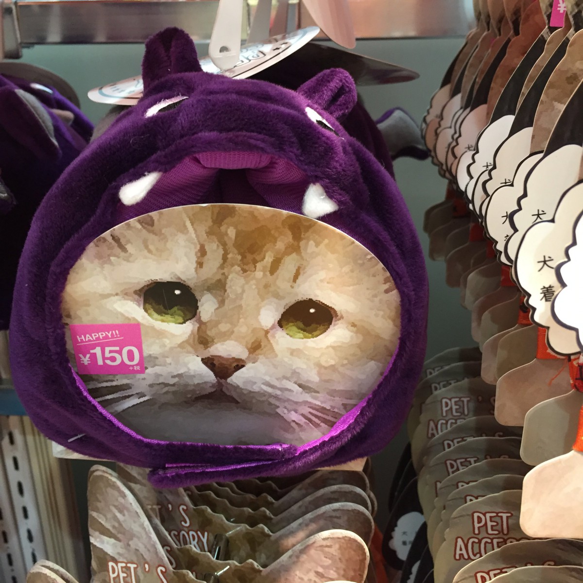 『3COINS』にある猫雑貨がかわいい♡みんなにおすめしたい商品５選！