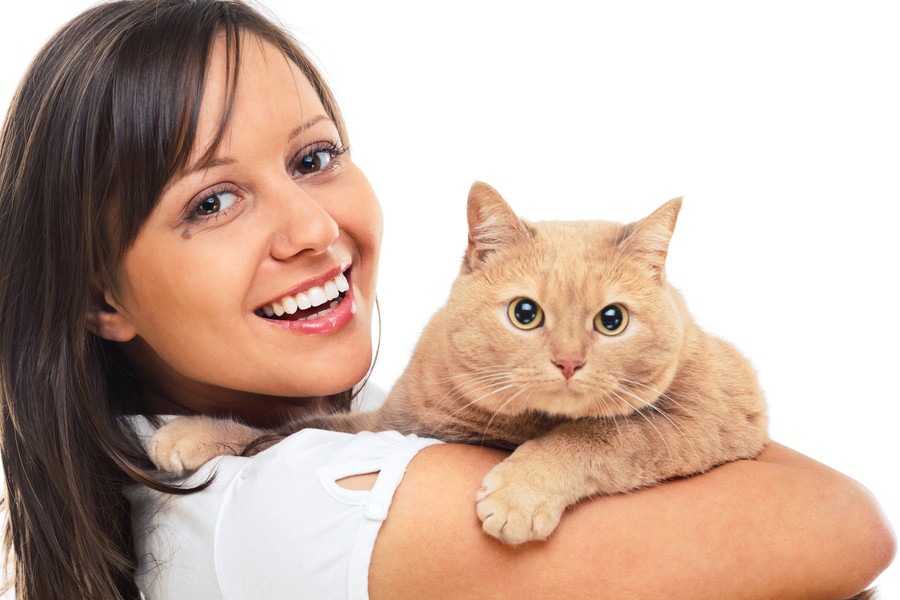 猫が急性腎不全になる症状や原因とその対処法
