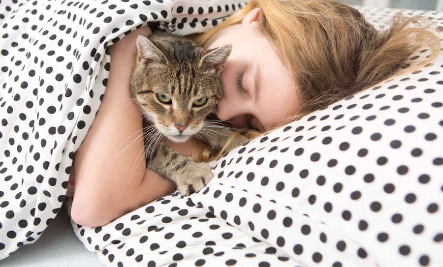 猫が飼い主の顔の上で寝るのはどうして？