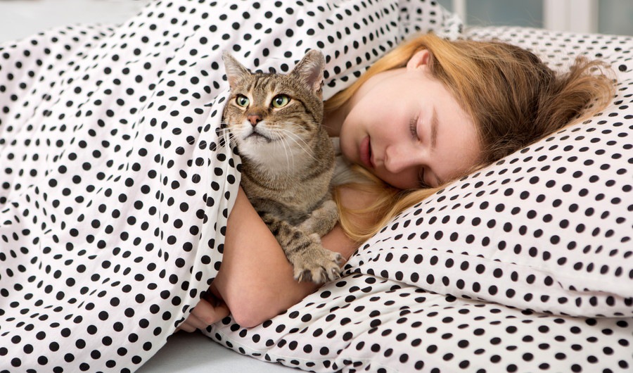 猫が飼い主と一緒に寝る7つの理由とは？心理や眠るときの注意点