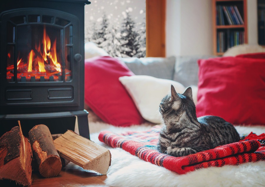 冬用猫ベッドの特徴と選び方とおすすめ商品6選
