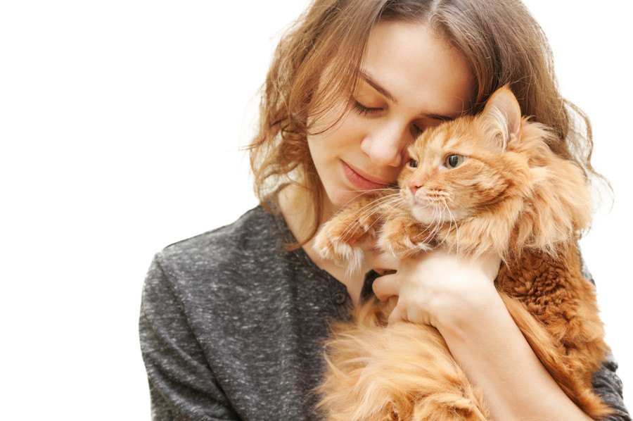 猫が飼い主からの愛情に応えている８つのサイン