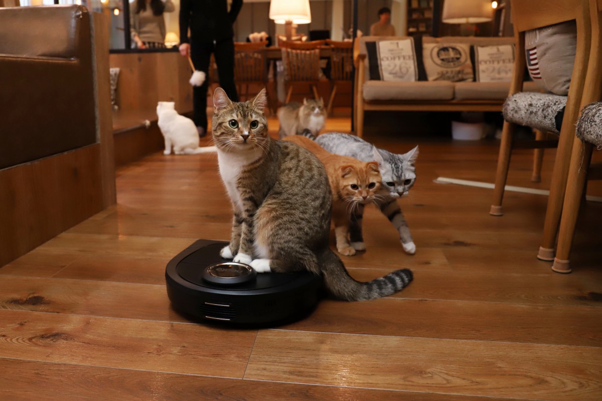 人気猫カフェでも導入！換毛期の悩みを解決してくれるロボット掃除機