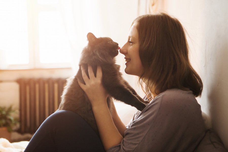 猫が好きすぎる！人がネコ愛する４つの理由