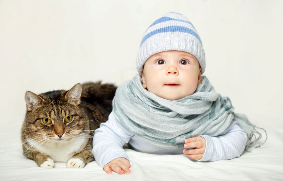 妊婦が猫と暮らす上で気をつけるべき病気と6つの注意点