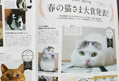 雑誌ananの猫特集「にゃんこLOVE」の内容