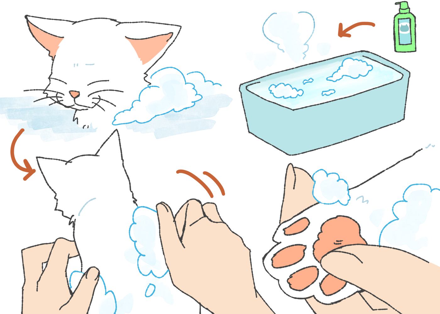 子猫にシャンプーをする時の注意点３つ！いつから洗っても大丈夫？
