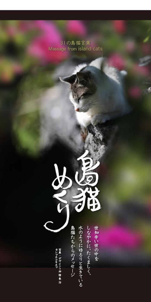 美しい沖縄で暮らす猫達だけ♡日めくりカレンダー「島猫めくり」が7/22発売！