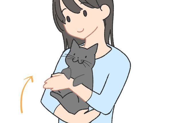 猫の抱き方の正しい方法と注意点