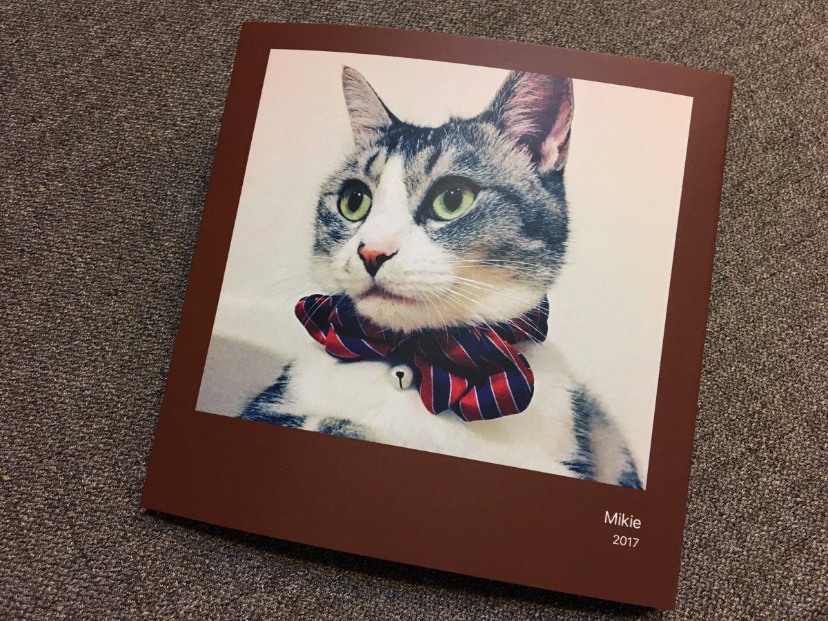 298円で愛猫の写真集が作れる？今話題の「しまうまプリント」