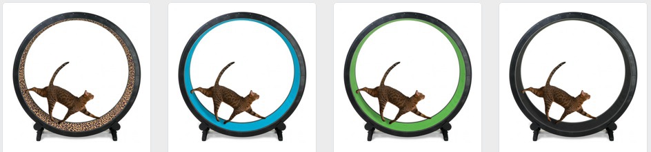 猫用のルームランナー「Cat Exercise Wheel」がすごい！使い方や動画