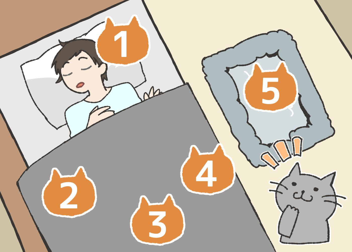 猫が寝る位置で分かる5つの性格と睡眠の仕方