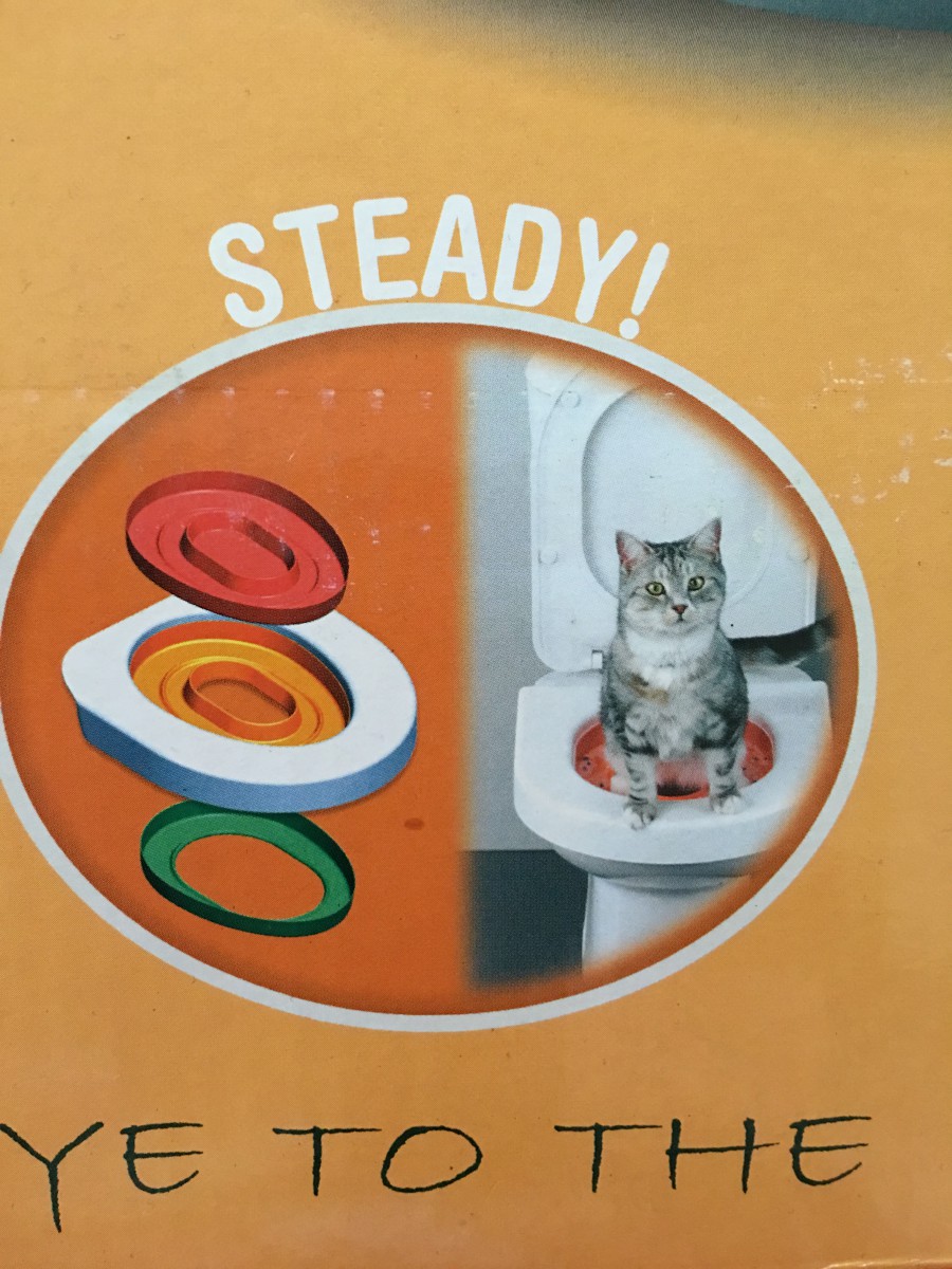 猫のトイレトレーニングで使える「リッターキッター」とは？