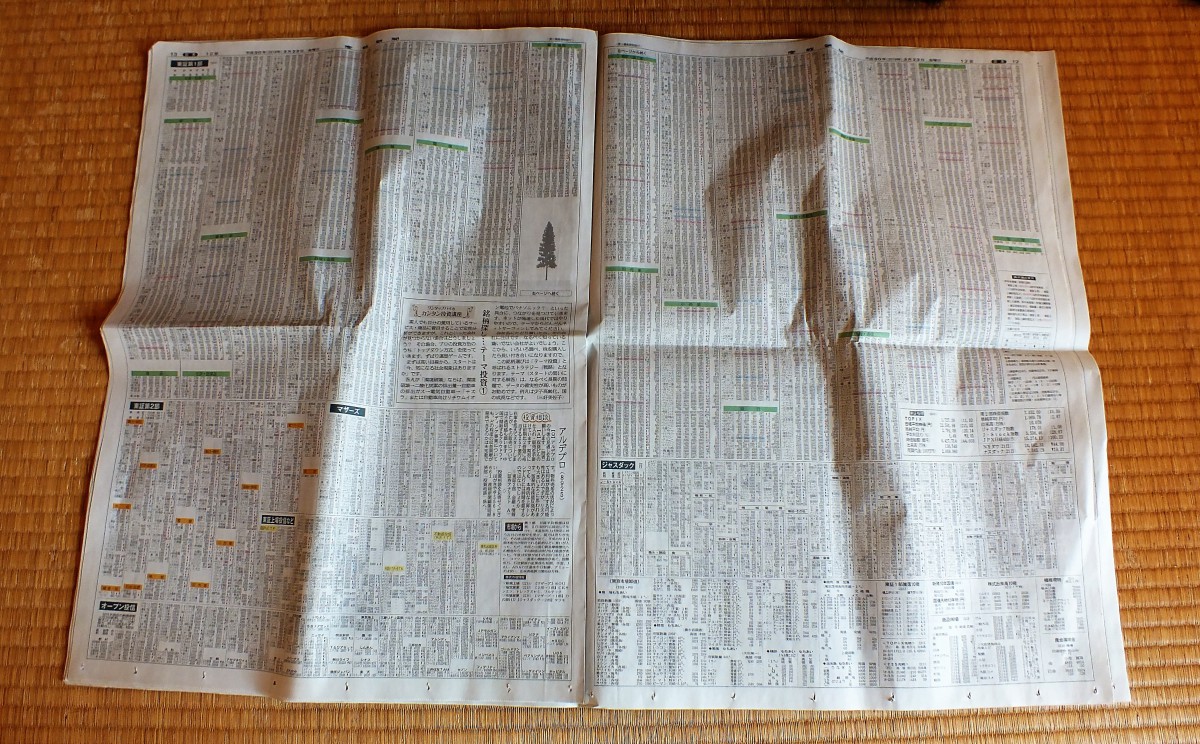 猫が新聞を読むことを邪魔して困る！解決法はこれ!
