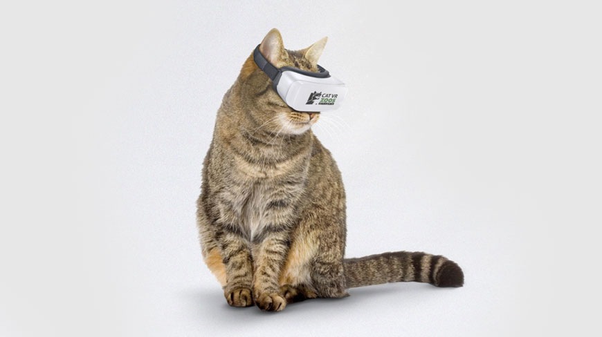 ついに猫にも！猫用VRが登場
