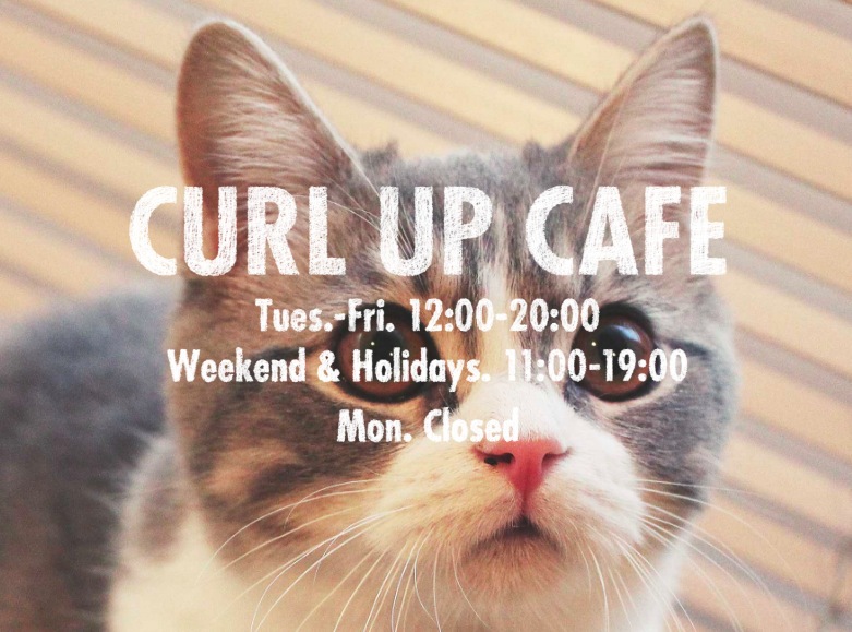 西小山の猫カフェ「カールアップカフェ」の可愛いすぎる猫と店舗情報