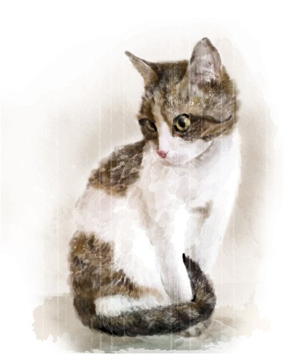 猫のリアルなイラスト7選！写真みたいに描く方法