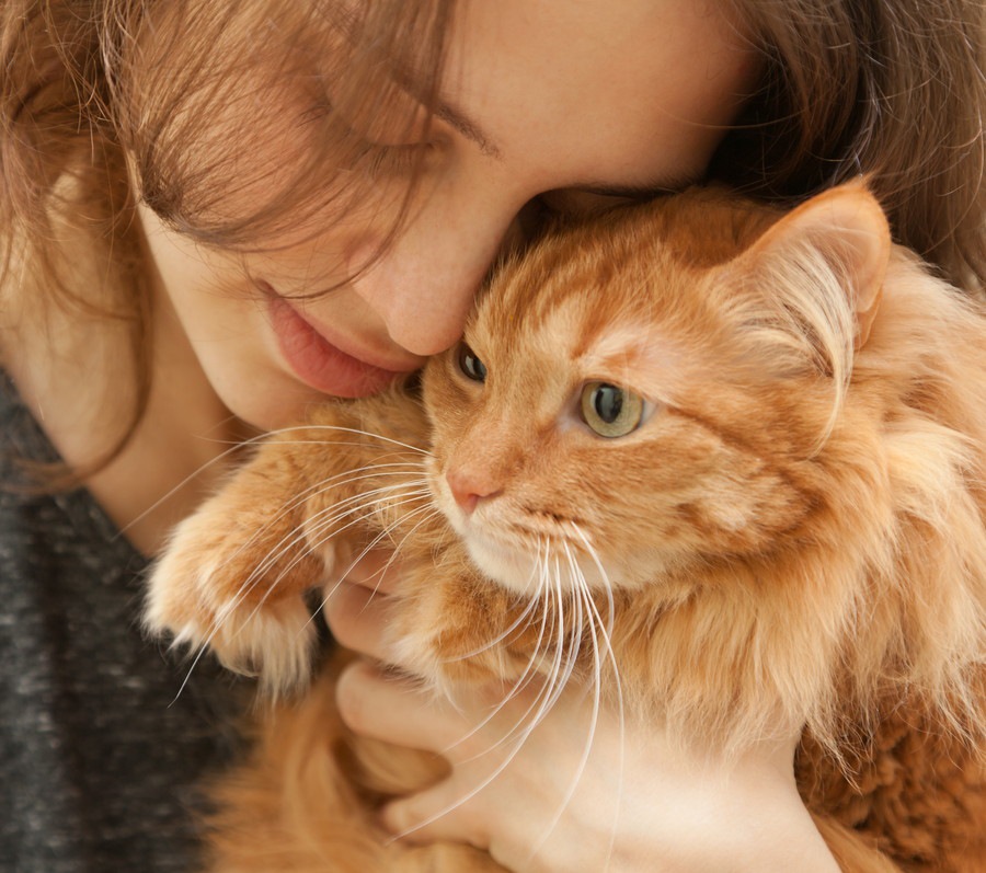 猫を飼った人99％が幸せと回答！調査結果について
