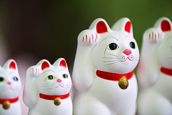 幸せの象徴！幸せを招く「幸福猫」３種類