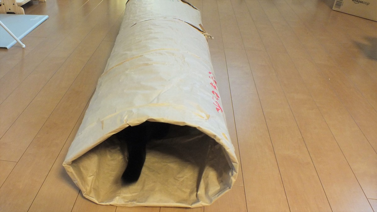 お米の紙袋を猫トンネルに改良してみた