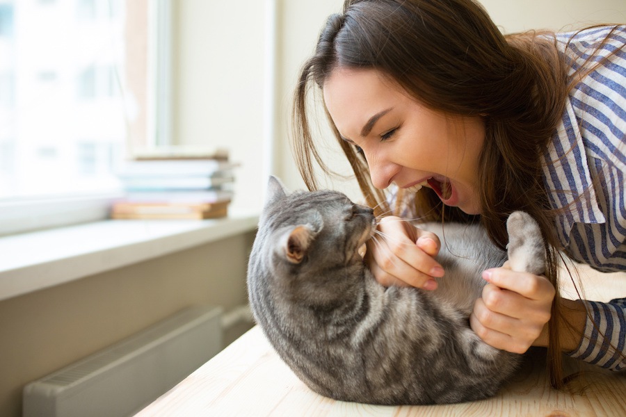 猫が飼い主に甘噛みする５つの心理