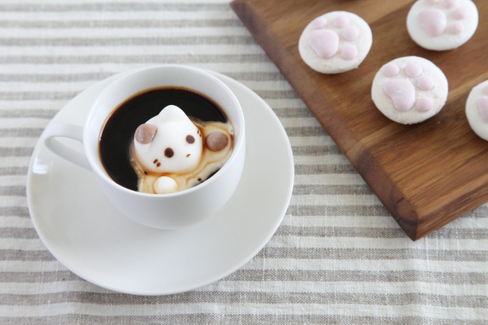 京都の猫カフェ5選！譲渡してもらえる店舗まで