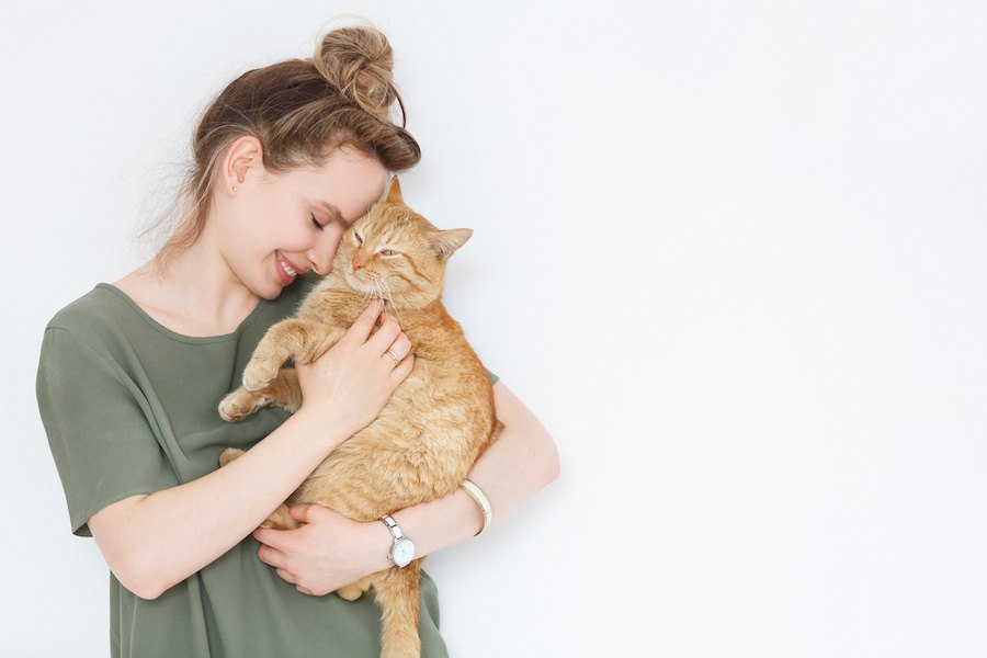 命に関わる事も…猫の生活習慣病を予防するには？