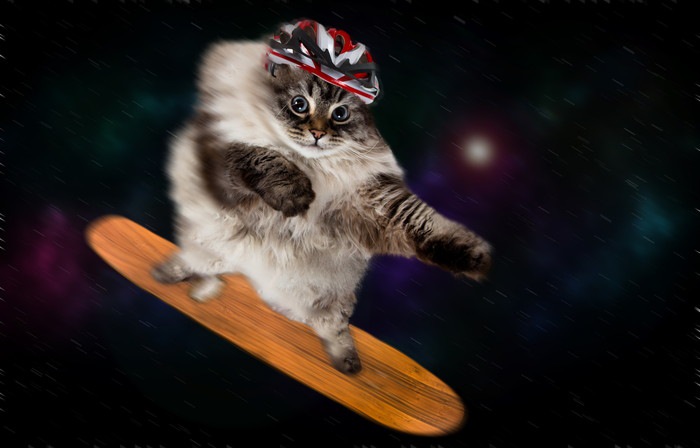 スペースキャットとは～猫と宇宙のコラボレーション～