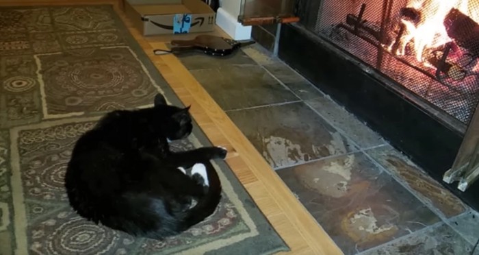 暖炉の前にタキシード猫