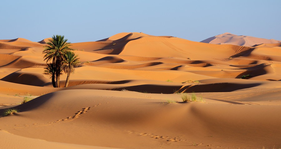 砂漠イメージ
