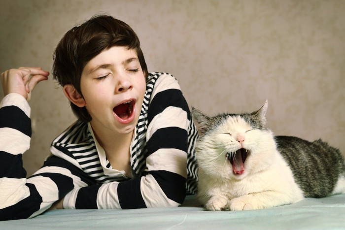 同時にあくびをする少年と猫
