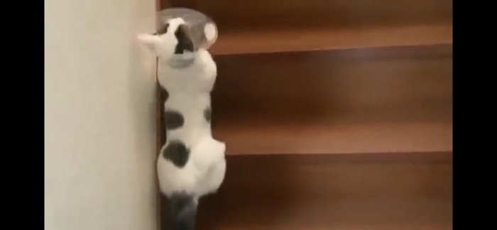 階段にひっかかる