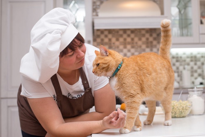キッチンにいる女性と猫