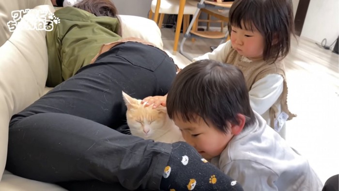 猫を撫でる子供たち
