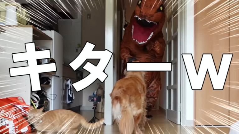 恐竜のコスプレに驚く犬と猫