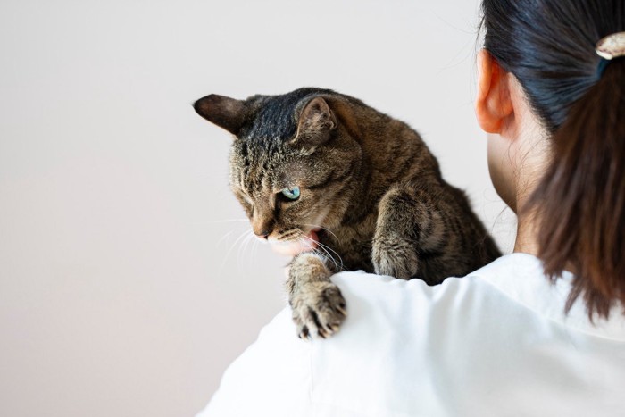 女性の肩で抱っこを嫌がる素振りを見せる猫