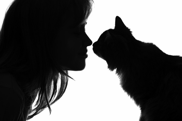 顔を近づける猫と女性のシルエット